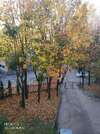 Апартаменты Vera apartment in the ♥of lviv Львов-4