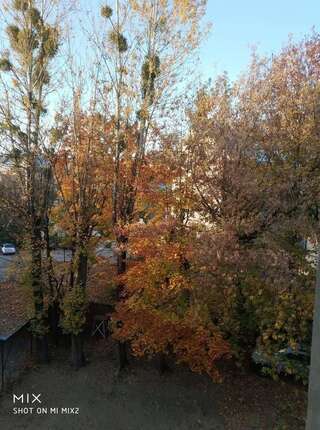 Апартаменты Vera apartment in the ♥of lviv Львов Апартаменты-2