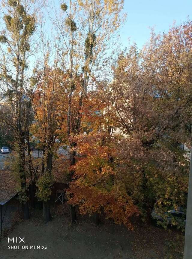 Апартаменты Vera apartment in the ♥of lviv Львов-4